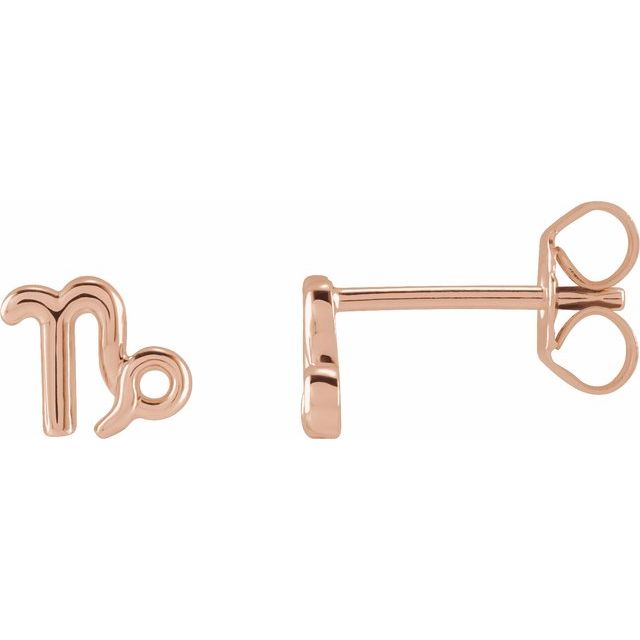Gold 14k Zodiac Earrings Capricorn